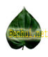 Logo-benhui-net.jpg