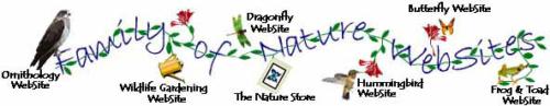 Logo-hummingbirdwebsite-com.jpg