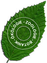 Logo-moertelmaier-at.jpg