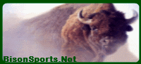 Logo-bisonsports-net.gif