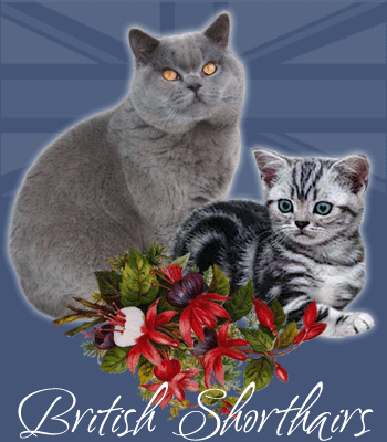 Logo-britzcats-com.gif