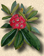 Logo-jdhooker-org-uk.gif