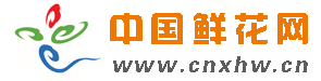 Logo-cnxhw-cn.gif