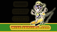 Logo-wisesurfing-com.gif