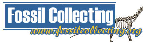 Logo-fossilcollecting-org.jpg