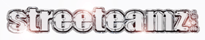 Logo-streeteamz-com.gif