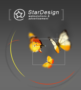 Logo-stardesign-org.jpg