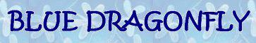 BlueDragonFlyLogo.jpg