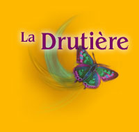 Logo-ladrutiere-com.jpg