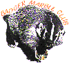 Logo-getsirius-com.gif