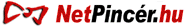 Logo-netpincer-com.png