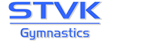 Logo-stvk-net.png