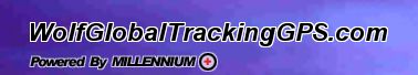 Logo-wolfglobaltrackinggps-com.jpg