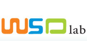 Logo-wsdlab-com.jpg