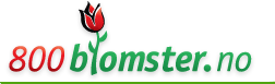 Logo-800blomster-no.gif