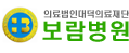 Logo-borammedi-co-kr.gif