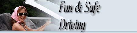 Logo-funandsafedriving-com.gif