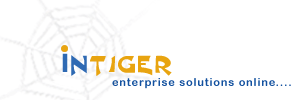 Logo-intiger-com.gif