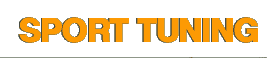 Logo-sporttuning-ru.gif