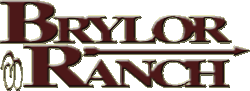 Logo-brylor-com.gif