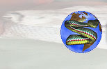 Logo-reptilesalonica-com.jpg