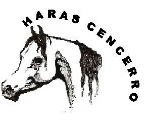 Logo-hcencerro-com-co.jpg