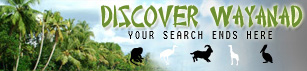 Logo-discoverwayanad-com.jpg