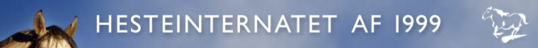 File:Logo-hesteinternatet-dk.jpg