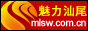 Logo-mlsw-com-cn.gif