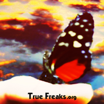Logo-truefreaks-org.jpg