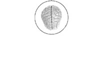 Logo-100ideias-org.gif