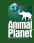 Logo-animalplanetasia-com.jpg