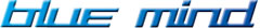 Logo-blue-mind-com.jpg