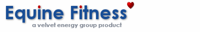 Logo-equinefitness-co-uk.gif