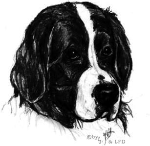 Logo-landseer-freunde-de.gif