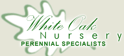 Logo-whiteoaknursery-com.gif