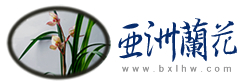 Logo-bxlhw-com.jpg