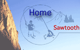 Logo-sawtoothfishingguides-com.gif