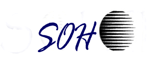 Logo-sohonetworkingsolutions-com.gif