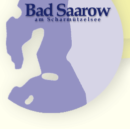 Logo-badsaarow-tv.gif
