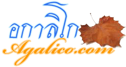 Logo-agalico-com.gif
