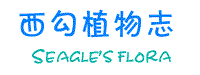 Logo-seagle-net-cn.gif