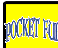 Logo-pocketfulloftales-com.gif