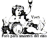 Logo-vinis-es.gif