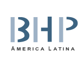 Logo-bhplatin-com.gif
