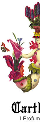 Logo-carthusia-com.gif