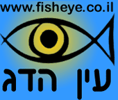 Logo-fisheye-co-il.gif