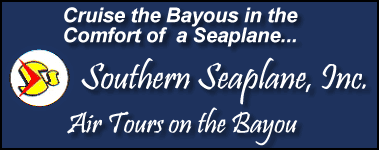 Logo-southernseaplane-com.gif