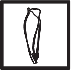 Logo-springtheatreworks-com.gif