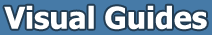 Logo-visualguides-org.png